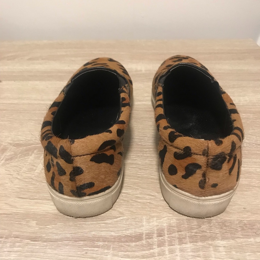 Steve Madden | Ecentric Leopard Slip on Sneaker - Picture 3 of 7